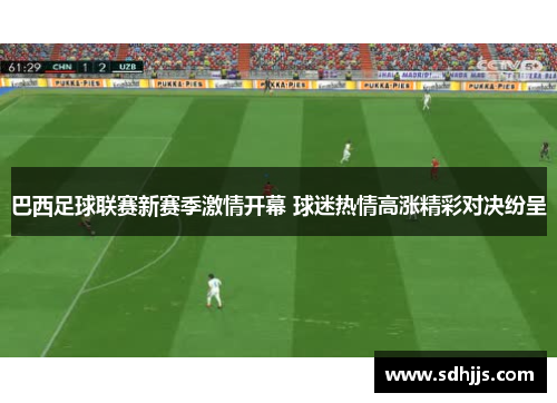 巴西足球联赛新赛季激情开幕 球迷热情高涨精彩对决纷呈