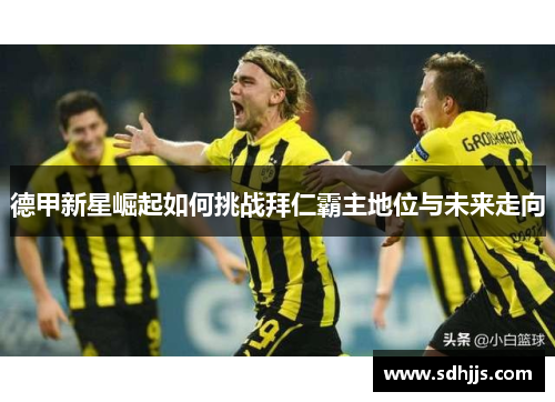 德甲新星崛起如何挑战拜仁霸主地位与未来走向