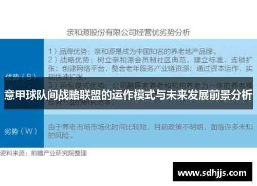 意甲球队间战略联盟的运作模式与未来发展前景分析