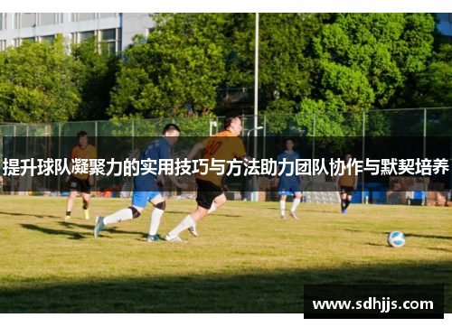 提升球队凝聚力的实用技巧与方法助力团队协作与默契培养