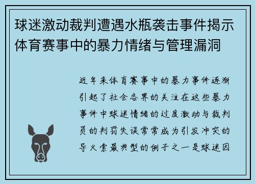 球迷激动裁判遭遇水瓶袭击事件揭示体育赛事中的暴力情绪与管理漏洞
