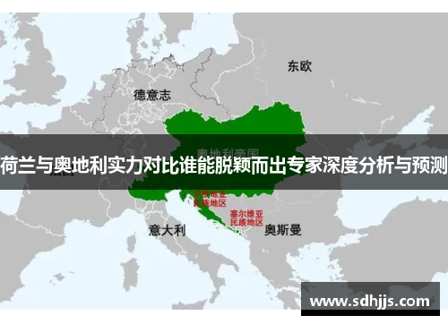 荷兰与奥地利实力对比谁能脱颖而出专家深度分析与预测