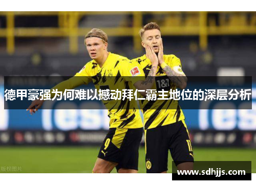 德甲豪强为何难以撼动拜仁霸主地位的深层分析