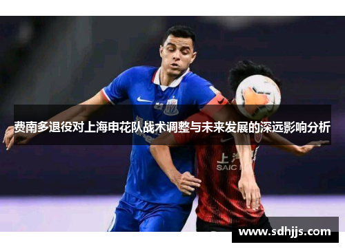 费南多退役对上海申花队战术调整与未来发展的深远影响分析
