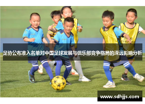 足协公布准入名单对中国足球发展与俱乐部竞争格局的深远影响分析 足协公布准入名单对中国足球发展与俱乐部竞争格局的深远影响分析