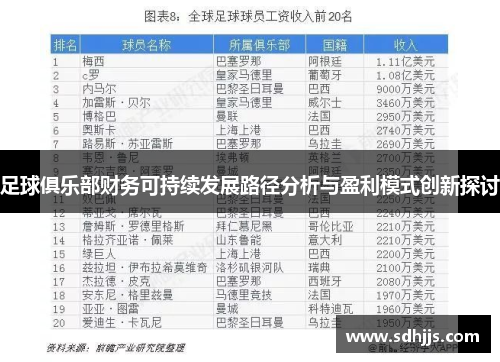 足球俱乐部财务可持续发展路径分析与盈利模式创新探讨
