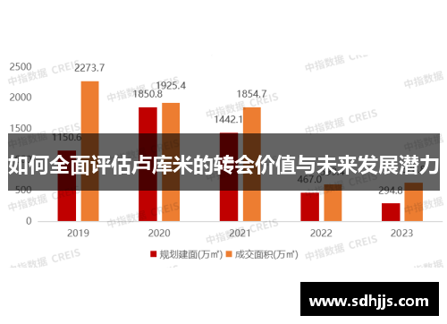 如何全面评估卢库米的转会价值与未来发展潜力