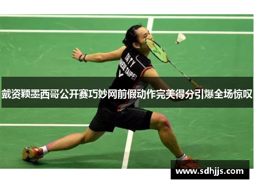 戴资颖墨西哥公开赛巧妙网前假动作完美得分引爆全场惊叹